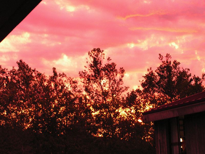 062804e_014.jpg