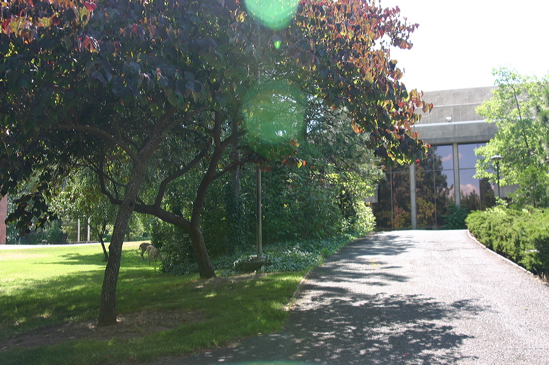 063006_e193.jpg