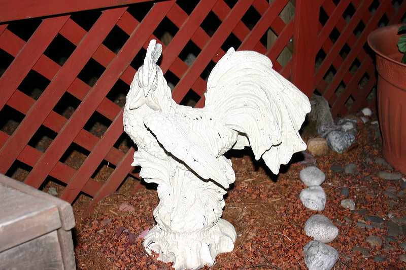 070407_e188.jpg