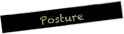 Posture